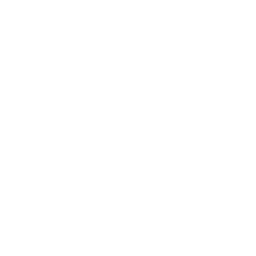 Googleplus Logo